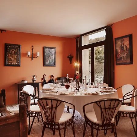 Hotel Mas De La Serra 3*