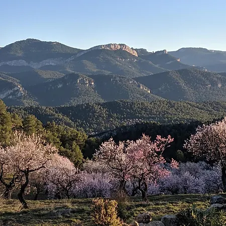 Mas De La Serra 3*